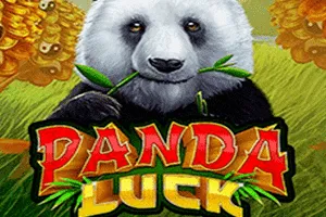 Playtech : Panda Luck - JPMAXWIN188
